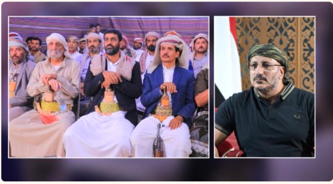 طارق صالح يشيد بدور قبائل مأرب والجوف في مواجهة مشروع ميليشيا الحوثي الإرهابية