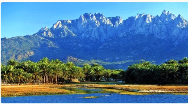 السفير جميح: ‏اليونسكو أرسلت بعثة رقابة إلى سقطرى بعد تقارير عن انتهاكات لمعاهدة حماية التراث العالمي  