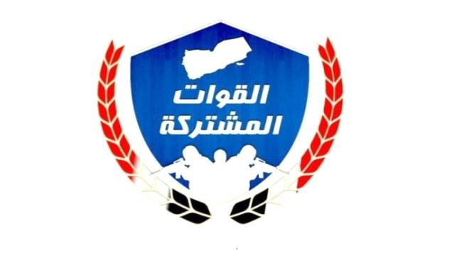 مصدر مسؤول في القوات المشتركة يؤكد وحدة موقف القيادة تجاه ترتيب الانتشار في باب المندب