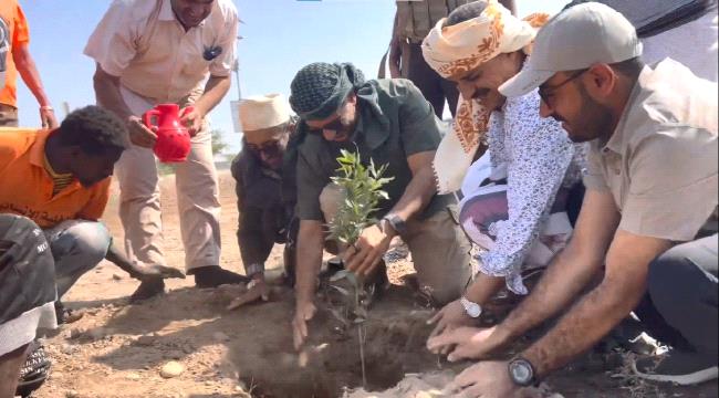 عضو مجلس القيادة طارق صالح يُدشن مشروعاً جديداً لتشجير مدينة المخا