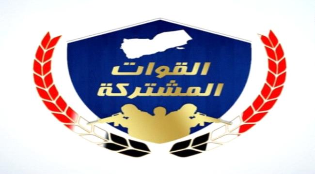 الكشف عن خلية جديدة جندها الحوثي لهذه المهمة في الساحل الغربي